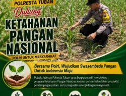 Dukung Asta Cita, Polsek Jatirogo Turun Langsung Pantau Ladang Jagung Warga Desa Paseyan