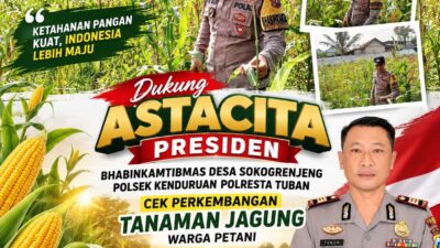 Dukung Astacita Presiden, Bhabinkamtibmas Desa Sokogrenjeng Polsek Kenduruan Polresta Tuban Cek Perkembangan Tanaman Jagung Warga