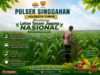 Polsek Singgahan Polresta Tuban Turun Cek Tanaman jagung Warga di Desa Lajo Lor