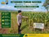 Polsek Montong Polresta Tuban Turun Cek Tanaman jagung Warga di Desa Pakel