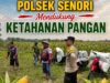 Anggota Bhabinkamtibmas Polsek Senori Polresta Tuban Turun ke ladang, Bantu Warga Desa Jatisari Panen Jagung