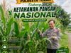 Dukung Astacita, Polsek Palang Polresta Tuban Pantau Langsung Lahan Jagung milik warga Desa Wangun