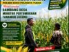Polsek Soko Polresta Tuban Turun Langsung Cek Tanaman Jagung Warga