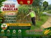 Polsek Bangilan Dukung Ketahanan Pangan Nasional Melalui Monitoring Tanaman Jagung