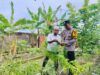 Dukung Ketahanan Pangan Nasional, Polsek Labuapi Dorong Warga Bajur Manfaatkan Lahan Pekarangan