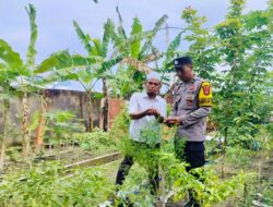 Dukung Ketahanan Pangan Nasional, Polsek Labuapi Dorong Warga Bajur Manfaatkan Lahan Pekarangan
