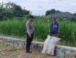 Memperkuat Ketahanan Pangan Desa, Bhabinkamtibmas Polsek Labuapi Turun Sawah Sapa Petani Karang Bongkot