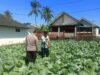 Bhabinkamtibmas Desa Masbagik Utara Sambangi Petani, Dukung Ketahanan Pangan dan Swasembada Pangan