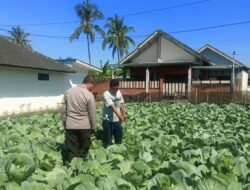 Bhabinkamtibmas Desa Masbagik Utara Sambangi Petani, Dukung Ketahanan Pangan dan Swasembada Pangan