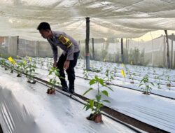 Bhabinkamtibmas Desa Kumbang Sambangi Warga dan Monitoring Ketahanan Pangan