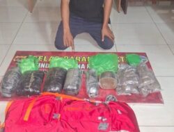 Diduga Pengedar Ganja, Seorang Pria asal Kota Mataram Ditangkap Polisi di Sumbawa Barat