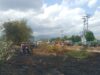 Lahan Kering Terbakar, Babinsa dan Warga Sigap Bertindak
