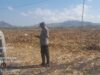 CEK KESIAPAN PANEN RAYA JAGUNG, KAPOLSEK HU’U TINJAU LAHAN DI DESA SAWE