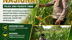 Polsek Soko Polresta Tuban Turun Langsung Cek Tanaman Jagung Warga