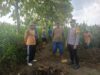 Tatap Muka di Tengah Ladang Jagung, Bhabinkamtibmas Polsek Tambakboyo Jalin Kedekatan Dengan Petani