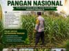 “ANGGOTA POLSEK KEREK POLRESTA TUBAN PANTAU PERTUMBUHAN TANAMAN JAGUNG WARGA DESA BINAAN”