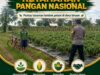 POLSEK KEREK SAMBANG DAN DIALOGIS DENGAN PETANI LOMBOK DI DESA BINAAN