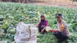 BHABINKAMTIBMAS DESA TEKASIRE DORONG WARGA MANFAATKAN LAHAN PEKARANGAN UNTUK DUKUNG KETAHANAN PANGAN