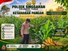 Anggota Polsek Singgahan Polresta Tuban Turun Cek Tanaman jagung Warga di Desa Lajo loratis