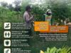 Polsek Grabagan Polresta Tuban Turun Langsung Cek Tanaman Jagung Warga
