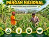 “ANGGOTA POLMAS PANTAU PERKEMBANGAN TANAMAN JAGUNG PETANI DI DESA BINAAN”