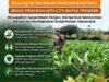 “ANGGOTA POLMAS PANTAU PERKEMBANGAN TANAMAN JAGUNG PETANI DI DESA BINAAN”