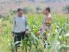 Bhabinkamtibmas Polres Bima Kota Sambangi Petani Jagung, Dukung Program Ketahanan Pangan