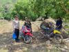 Bhabinkamtibmas Kramat Sambangi Warga, Dorong Persiapan Lahan Jagung dan Pemanfaatan Pekarangan
