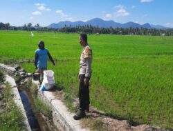 Dukung Ketahanan Pangan Nasional, Bhabinkamtibmas Polsek Utan Sambangi Petani di Desa Motong