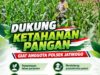 Dukung Asta Cita, Polsek Jatirogo Turun Langsung Pantau Ladang Jagung Warga Desa Ketodan