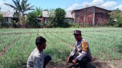 Bhabinkamtibmas Tekasire Sambangi Petani, Sampaikan Imbauan Karhutla dan Antisipasi Gangguan Ternak
