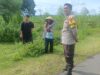 Bhabinkamtibmas Sorinomo Dorong Warga Rawat Tanaman Jagung dan Manfaatkan Pekarangan Dukung Ketahanan Pangan