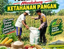 Anggota Bhabinkamtibmas Polsek Senori Polresta Tuban Turun Langsung Bantu Warga Desa Sendang Panen Jagung