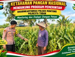 Polsek Montong Polresta Tuban Turun Cek Tanaman jagung Warga di Desa Bringin