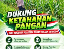 Dukung Astacita Swasembada Pangan, Polsek Jatirogo Pantau Lahan Jagung di Desa Jombok