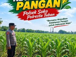 Polsek Soko Polresta Tuban Turun Langsung Cek Tanaman Jagung Warga