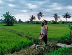 Dukung Ketahanan Pangan Nasional, Bhabinkamtibmas Desa Lekong Sambangi Petani dan Dorong Pemanfaatan Lahan Produktif
