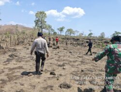 TNI-Polri Bersama Polhut dan Masyarakat Mitra Hutan Gelar Smart Patrol di Kawasan Taman Nasional Gunung Tambora