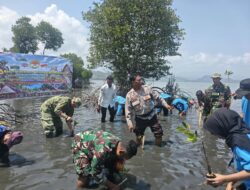 Sinergi TNI-Polri dan Pelajar Tanam Mangrove Serentak di Pulau Kaung, Cegah Abrasi Pesisir Pantai