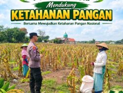 Anggota Bhabinkamtibmas Polsek Senori Polresta Tuban Lakukan Pemantauan Tanaman Jagung Warga Desa Leran Dukung Program Ketahanan Pangan