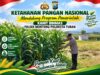 Mendukung Asta Cita Presiden Polmas Polsek Montong Polresta Tuban Pantau Kodisi Tanaman Jagung Milik Warga Desa Jetak