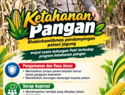 Mendukung Program Ketahanan Pangan, Bhabinkamtibmas Monitoring Pertumbuhan Jagung