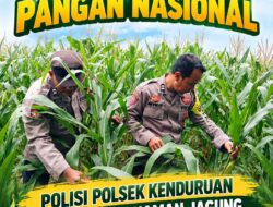 Konsep Otomatis