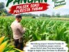 Polsek Soko Polresta Tuban Turun Langsung Cek Tanaman Jagung Warga