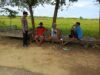 Dukung Asta Cita Presiden RI, Polsek Tambakboyo Terjun ke Sawah Dampingi Petani Wujudkan Ketahanan Pangan
