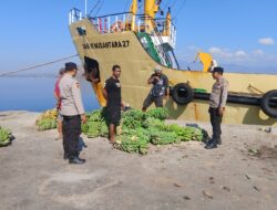 Polsek Kawasan Pelabuhan Laut Bima Patroli dan Cek Barang Bongkaran di Terminal 1 dan 2