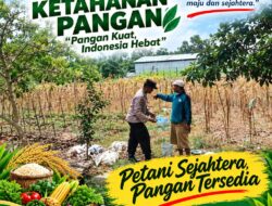 Polri Dukung Astacita, Polsek Merakurak Polres Tuban Turun Cek Tanaman Jagung Warga di Desa Tuwiri Wetan