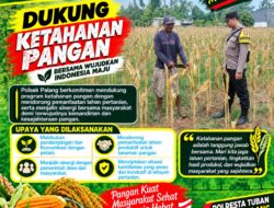Dukung Astacita, Polsek Palang Polresta Tuban Pantau Langsung Lahan Jagung milik warga Desa Tegalbang