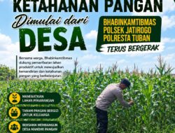 Polsek Jatirogo Turun ke Lahan produktif Desa Jatiklabang Wujudkan Dukungan Astacita Swasembada Pangan