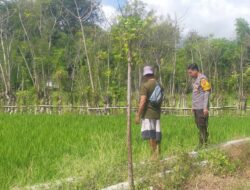 Dukung Ketahanan Pangan Nasional, Bhabinkamtibmas Sambangi Warga yang Beraktivitas di Ladang